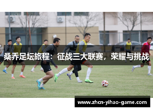 桑乔足坛旅程：征战三大联赛，荣耀与挑战